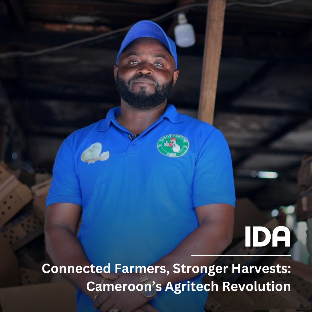 WBG_IDA's tweet photo. “We used to produce 5K chicks per week but selling them was very challenging. Now we sell at least 15K chicks every week.”
With IDA support, digital marketing is helping poultry producers in Cameroon reach new customers & grow their businesses. https://t.co/o3HR8cAdcO #IDAworks https://t.co/Mc1tKY861x