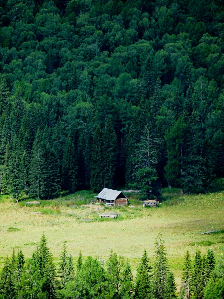 indy1039's tweet photo. Woke up to misty mountains and hot coffee at our hidden campsite—this is the kind of quiet magic that makes life feel right. ， https://t.co/RzTveRLxFd