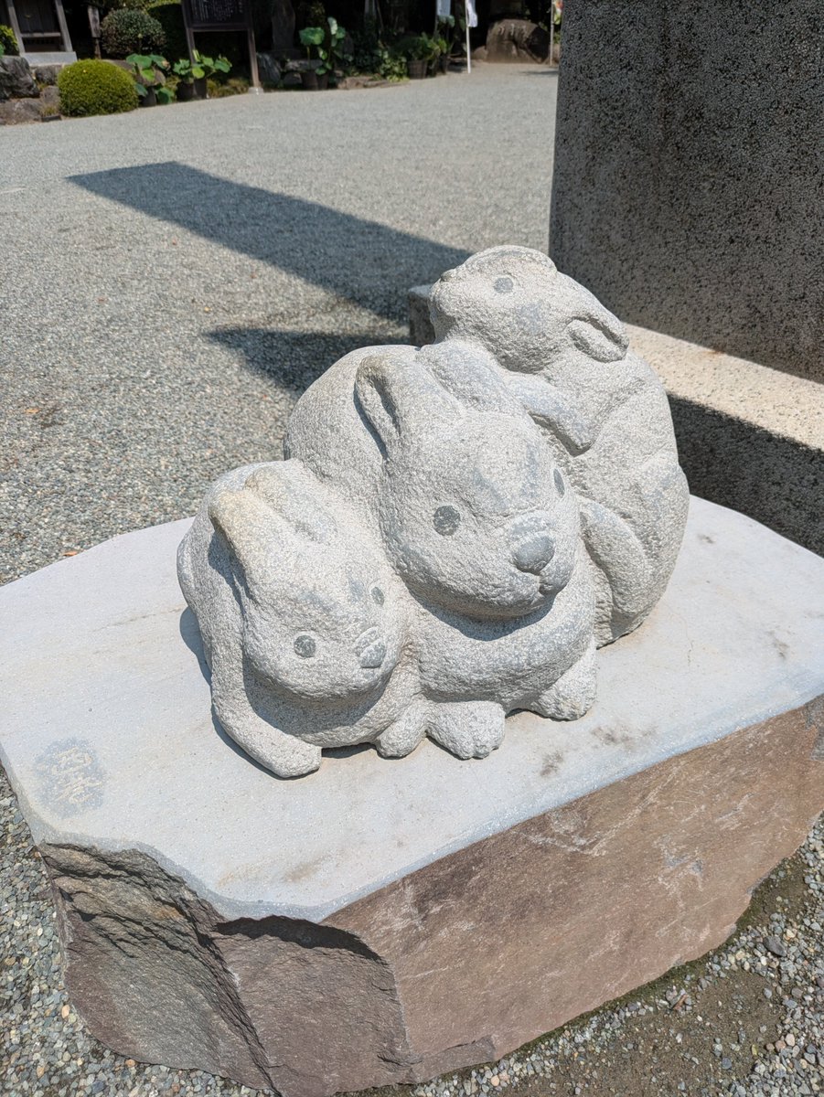 FromOtmko's tweet photo. 出雲までなかなか行けないので分社様にお参り⛩️大好きな緑豊かで🐰もいっぱい！とっても素敵でご縁を感じました💚おみくじは大吉！ラッキー数字は5と8！(5月8月!?🎂)良いご縁に結ばれますように✨️帰りにご近所の白笹稲荷様へも🦊お参り。どちらも風鈴の音が心地良かった🎐充実したAM☂️☀でした♪ https://t.co/flS4x4DqBD