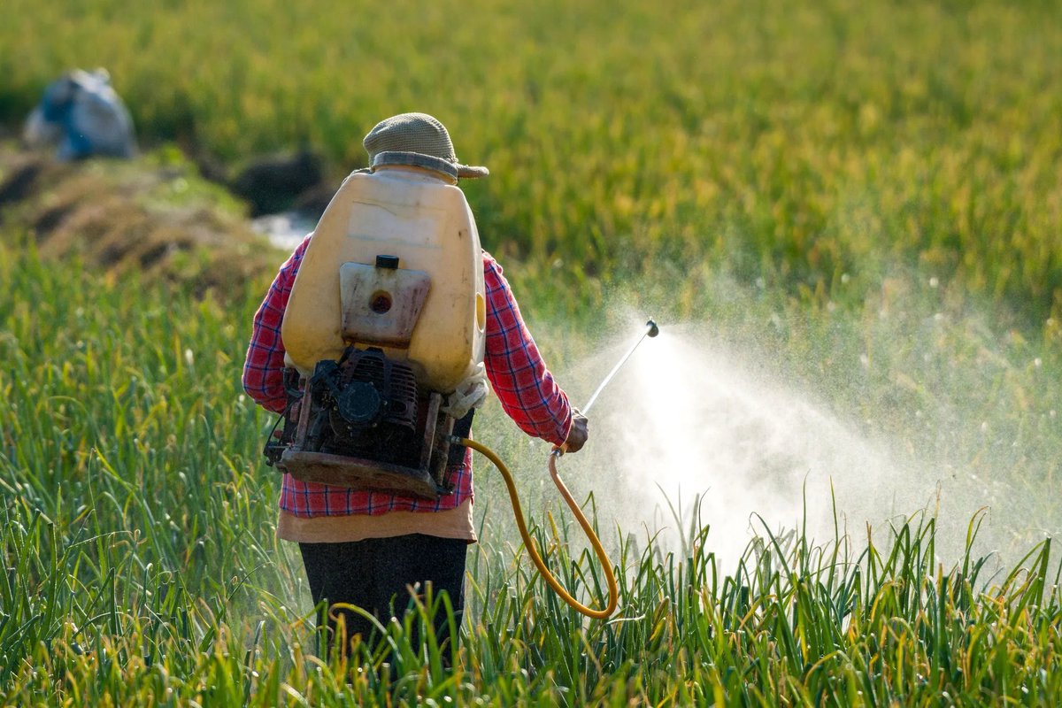 AlertesInfos's tweet photo. 🚨🇫🇷 ALERTE INFO | "La politique n’est pas mon monde" : la ministre de la Transition écologique, Monique Barbut, va REMETTRE sa DÉMISSION en raison de son profond désaccord avec le gouvernement sur la loi agricole et la réintroduction de certains pesticides. (post sur LinkedIn) https://t.co/nj3Kuf5E5O