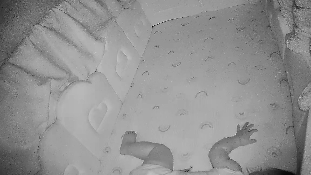 uuuuk_94's tweet photo. カメラの位置悪くて見切れてる夕寝💤 https://t.co/E4tGRmb4Sh
