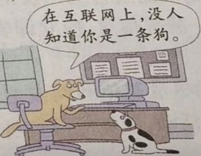 张悟霜 tweet media