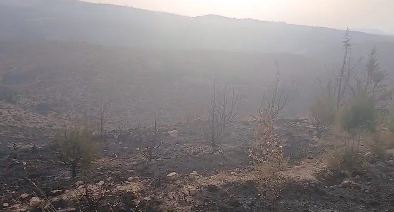 TeruelExiste_'s tweet photo. Amanece en la zona del incendio de #Ejulve.
Ayer se desalojó #Molinos, Cañadilla y Cirujeda. vecin@s realojados en #Alcorisa y #Aliaga.
Agradecer a bomberos forestales, bomberos DPT y ayto Zgz, GCivil, GISE, comarcas, aytos, Prot.Civil, UME, psicólogos...
#teruelexiste #IFEjulve https://t.co/0fW9x7CTzM