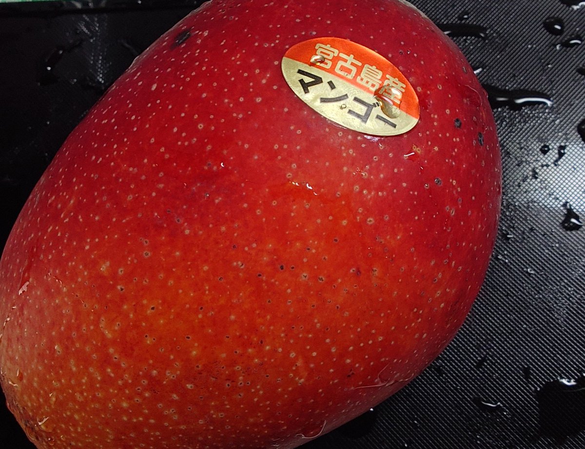 3535genius's tweet photo. 沖縄の親戚からマンゴー🥭がよく送られてくる😇🫶めちゃ美味ﾊﾋﾟﾊﾋﾟ https://t.co/d8gsy1CMBK