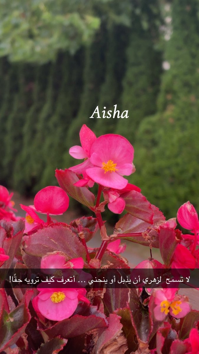 ❤️aisha❤️🗝️ tweet media