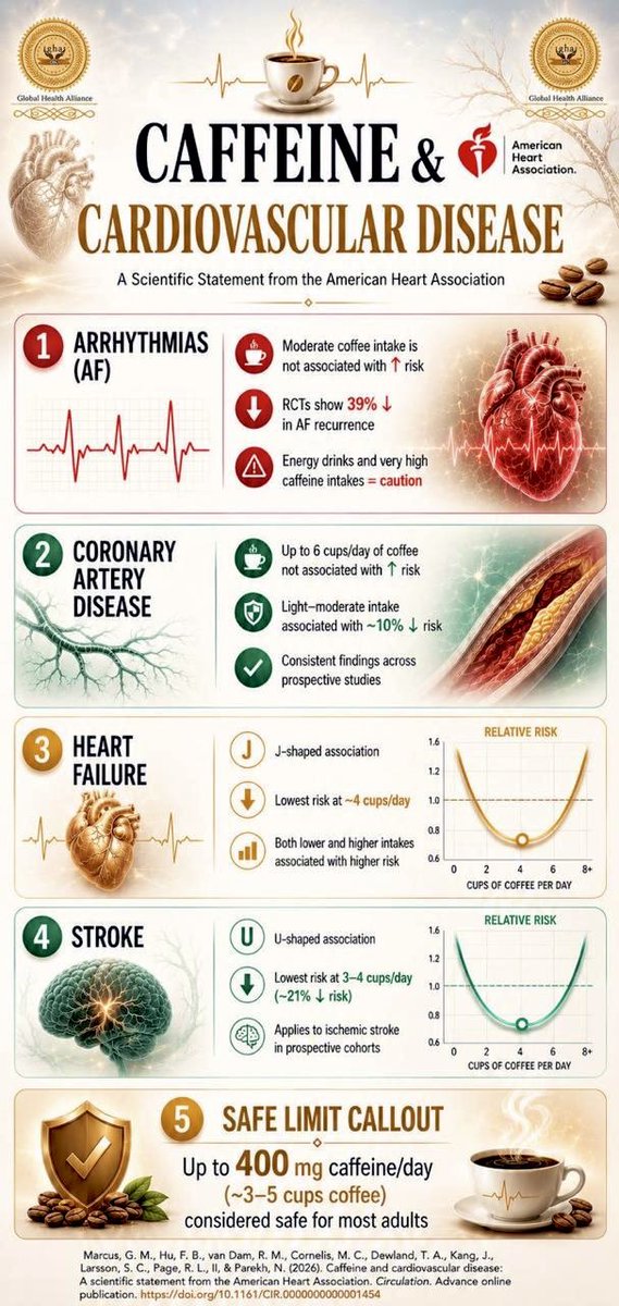 RajayNarain's tweet photo. ☕ New AHA Scientific Statement just dropped: 

Moderate coffee (3–5 cups/day) is linked to LOWER risk of AF, coronary disease, heart failure &amp; stroke.
Your morning coffee might be protecting your heart, not harming it. 🫀
#HeartHealth #Coffee #Cardiology #AHA #Ghahealth https://t.co/l1uLAfFU8T