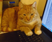 Bentonbag's tweet photo. I've blogged https://t.co/SqxugzGQvY
#Joy #Cats #Facebook #Archives #ginger #protest #that #ruin #work #then #next #A4 #pad #love #paper #read #little #always #know #office #big #toe #tail #swing #keeps 
Feel free to RT https://t.co/9NPDUFoXhu