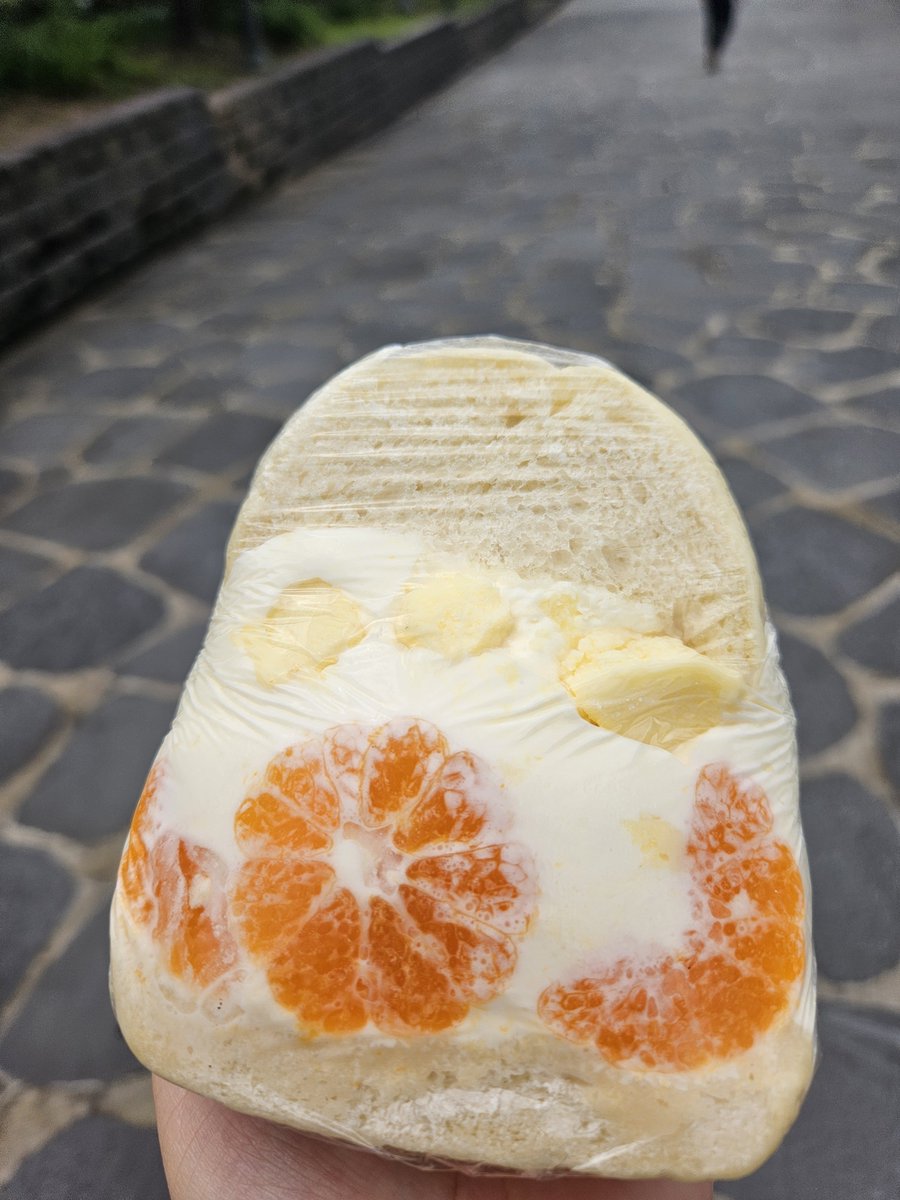 beombeogi's tweet photo. 오늘은 이친구먹었어 키키
요거귤 샌드베이글🍊
넘넘맛있긔 히히☺️ https://t.co/ZpeixpuKrZ