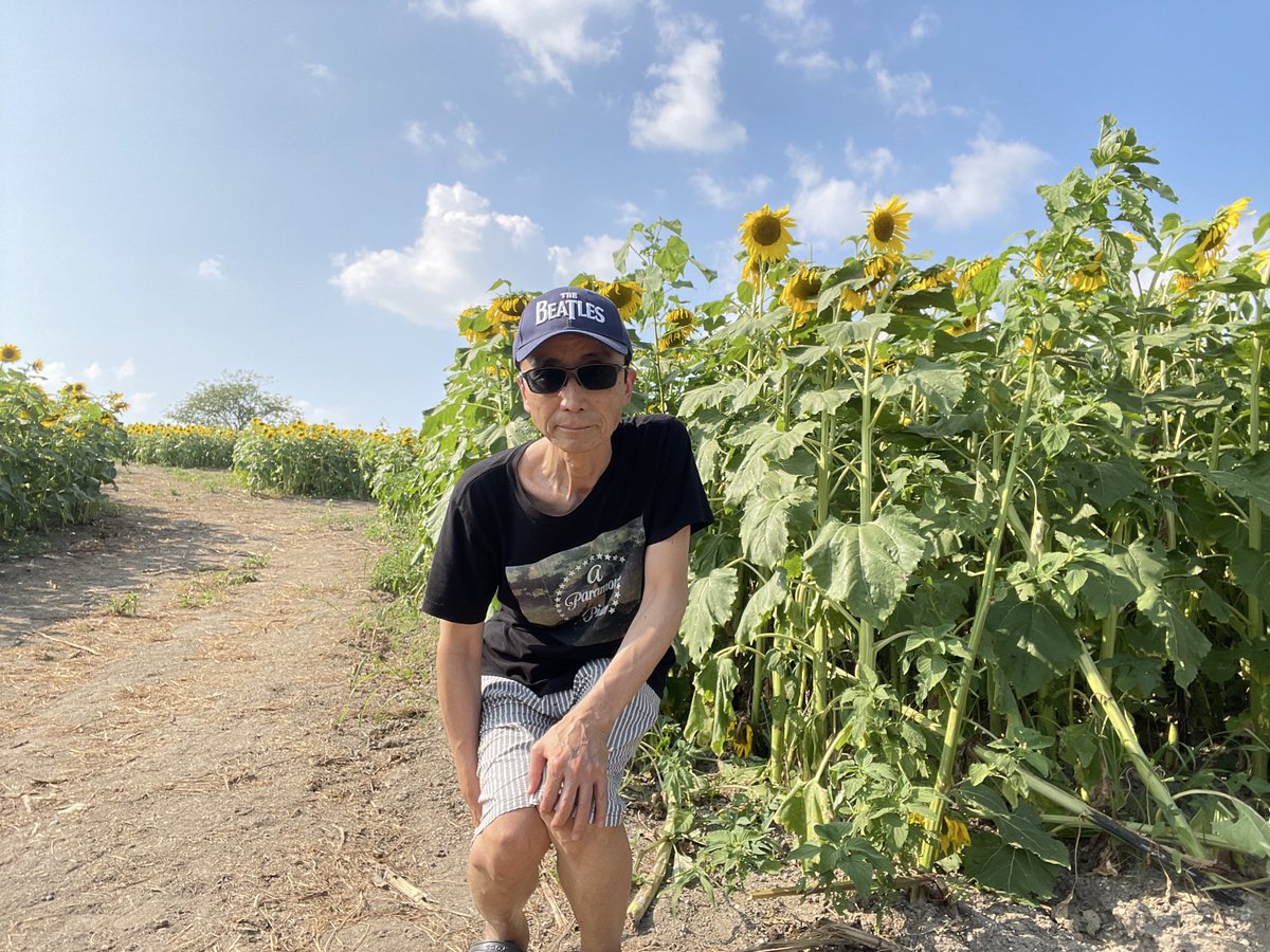 70RockV's tweet photo. 愛知牧場🫏にひまわり🌻を観に来ました😊 https://t.co/n7YD6rkLmu