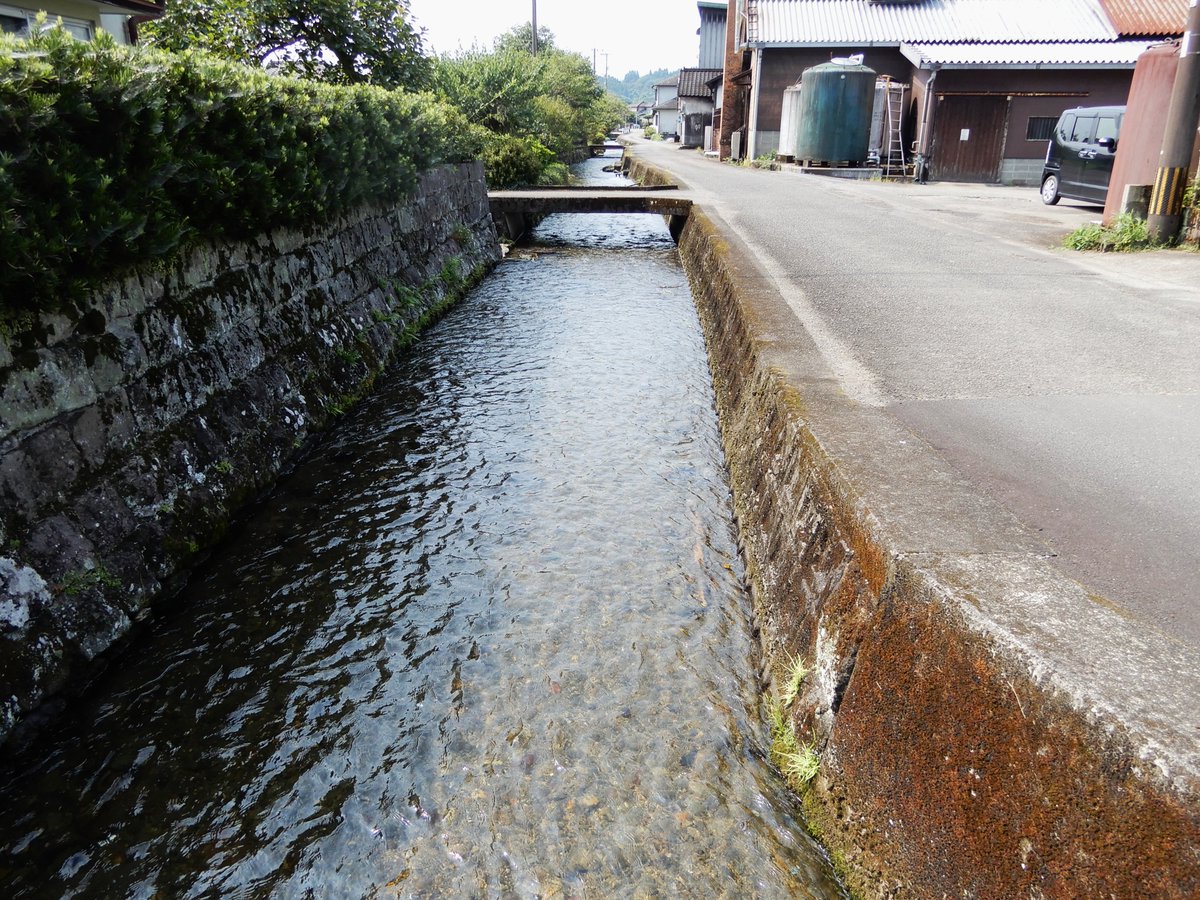 s540817sa's tweet photo. 毎日毎日暑いですね!!  今日で猛暑日4日連続になりました。
こんな日は水辺のそばがいいと思って、御溝川を井ノ口町から駒井田町まで下って来ました。
(井ノ口町→瓦屋町→城本町→駒井田町)
いつもの道路を走る時より、気分的に涼しげな感じでした!! https://t.co/5CjwMyfbBo