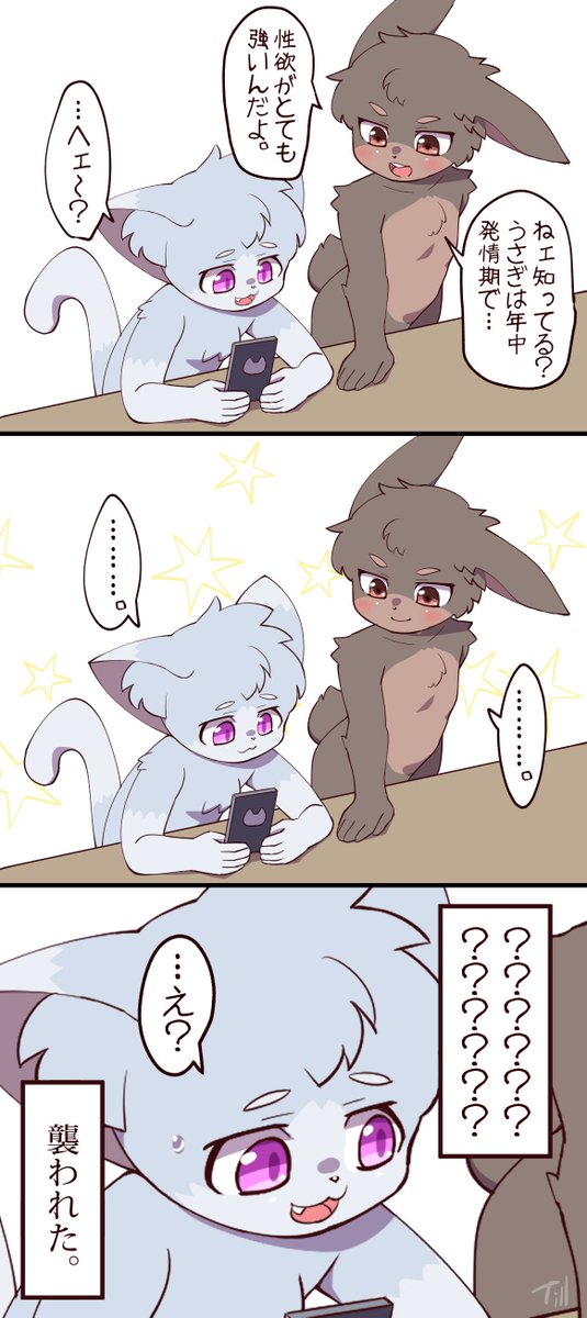 Whitill__fluffy's tweet photo. https://t.co/NkpfuG0Rmn