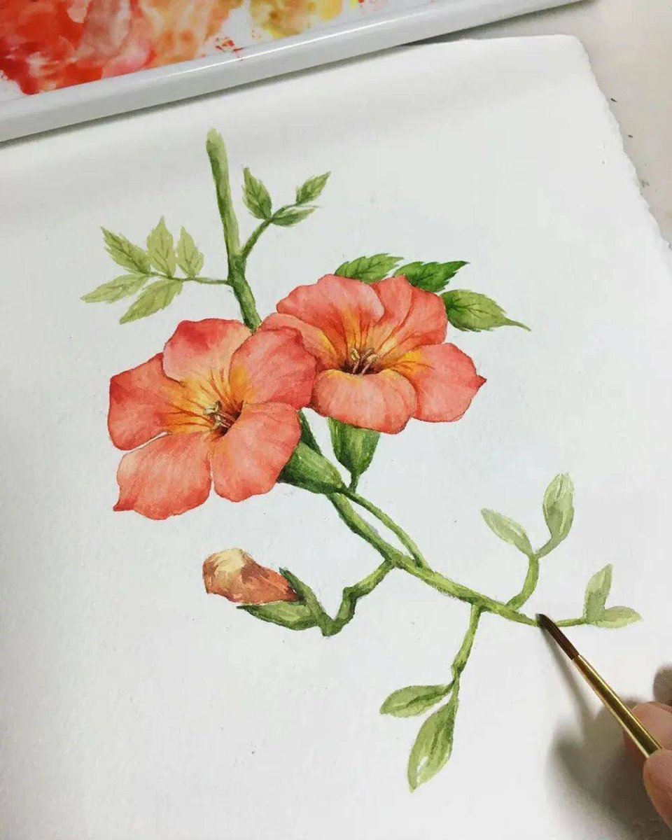 MartinP58862368's tweet photo. Ready to fall in love with a new hobby  Try 15-minute watercolor sketches daily—no experience needed, just curiosity. Small steps = big joy! https://t.co/ciTl9EdHmP