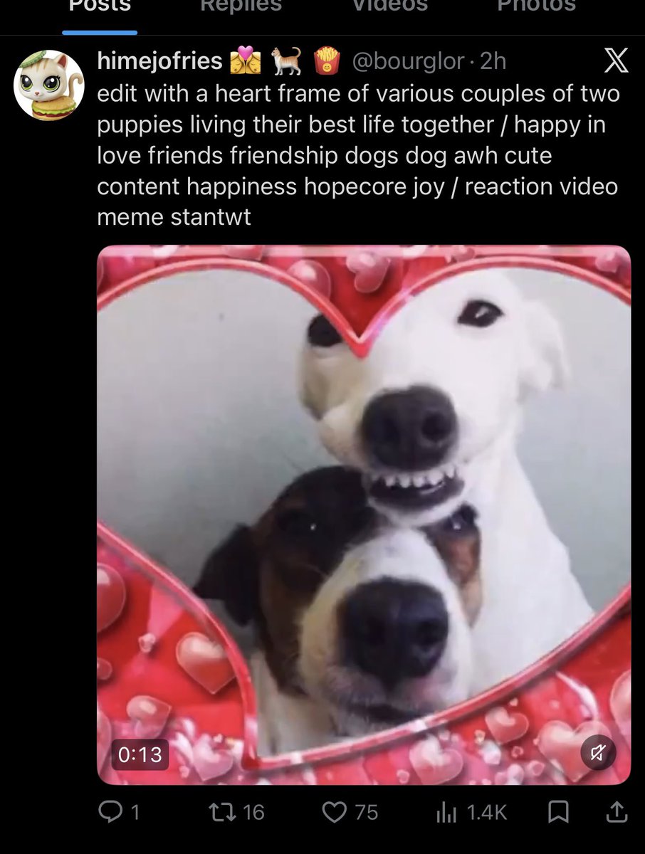 V1BR1_'s tweet photo. genuinely obsessed with this account that archives popular reaction videos with multiple extremely literal descriptions for keyword searching. i’ve just been scrolling through it nodding in agreement. you’re right. this IS literally happy in love friends friendship dogs awh cute https://t.co/GDoQaRED5e