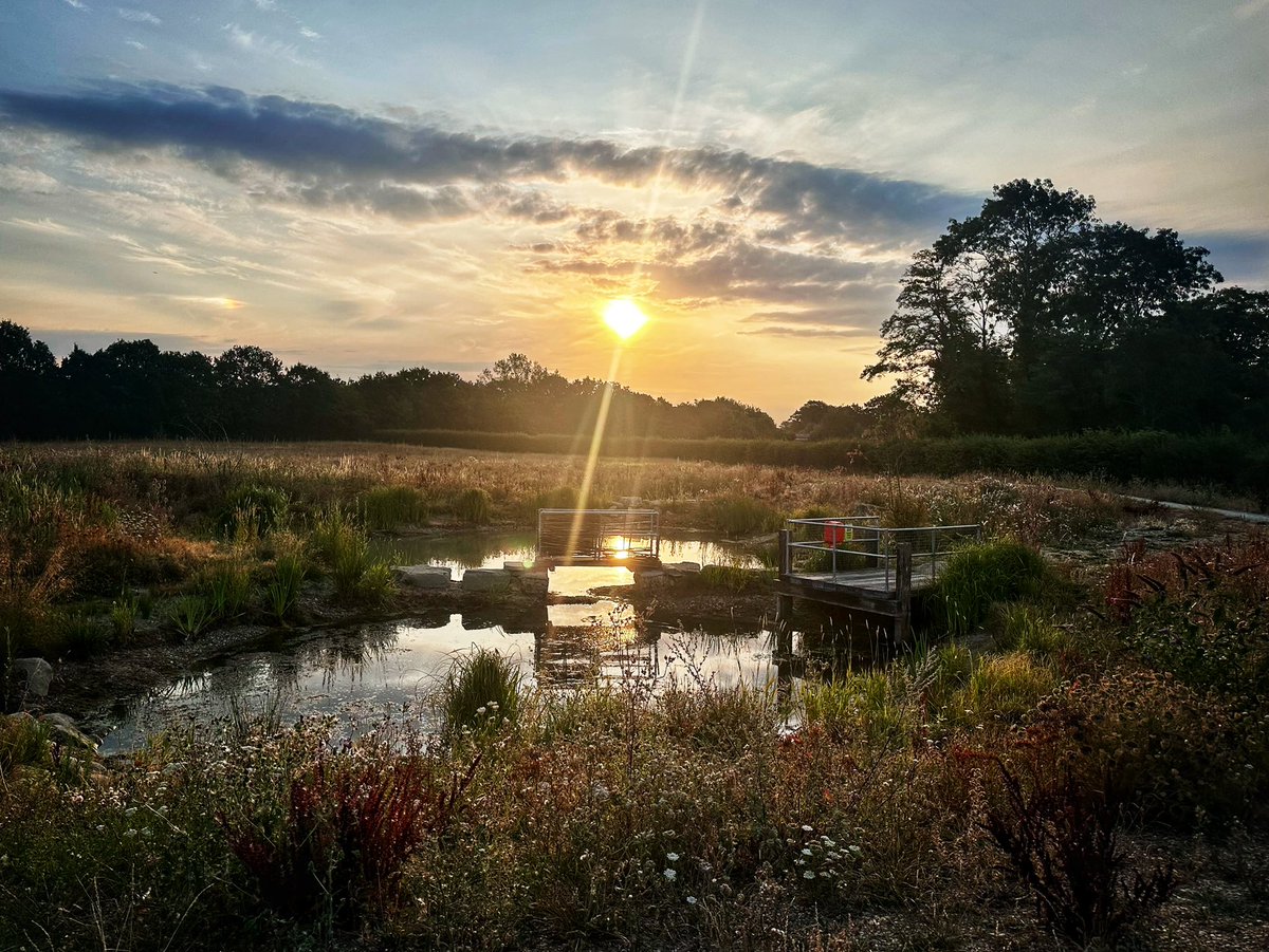 sarahkern101's tweet photo. Lovely morning #running 🏃‍♀️ in the early sun… @WarrenFarmNR @BrentRiverPark 
#Ealing #Hanwell #London #nature @UKRunChat https://t.co/Af9O06p51l