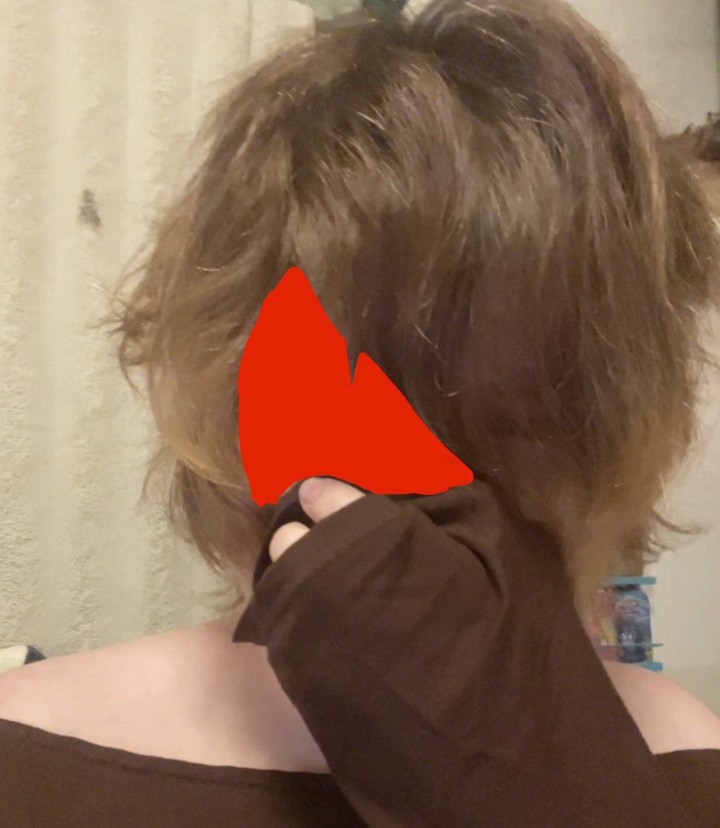 boxofpawclates's tweet photo. hair color ideas ? ʕ•ᴥ•ʔ https://t.co/fveWktr3r3