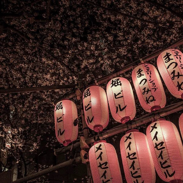 Readyx_in's tweet photo. aesthetic for me

#xin_debutjapan #japan_xin #XIN #엑신 #エクシン https://t.co/lPqaOsSmC1