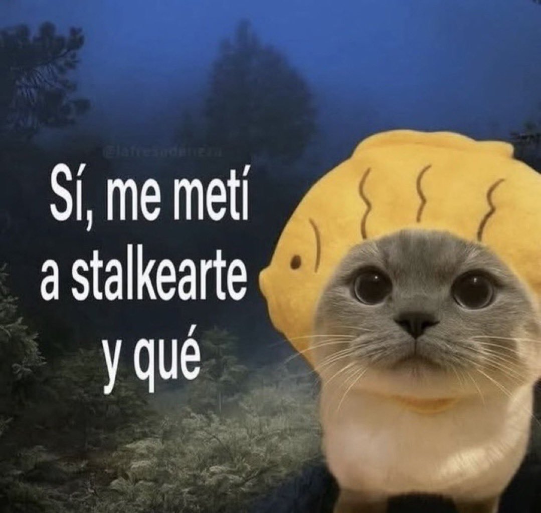 Flapsuuu54's tweet photo. Entonces? https://t.co/Nwfxc6y1RL