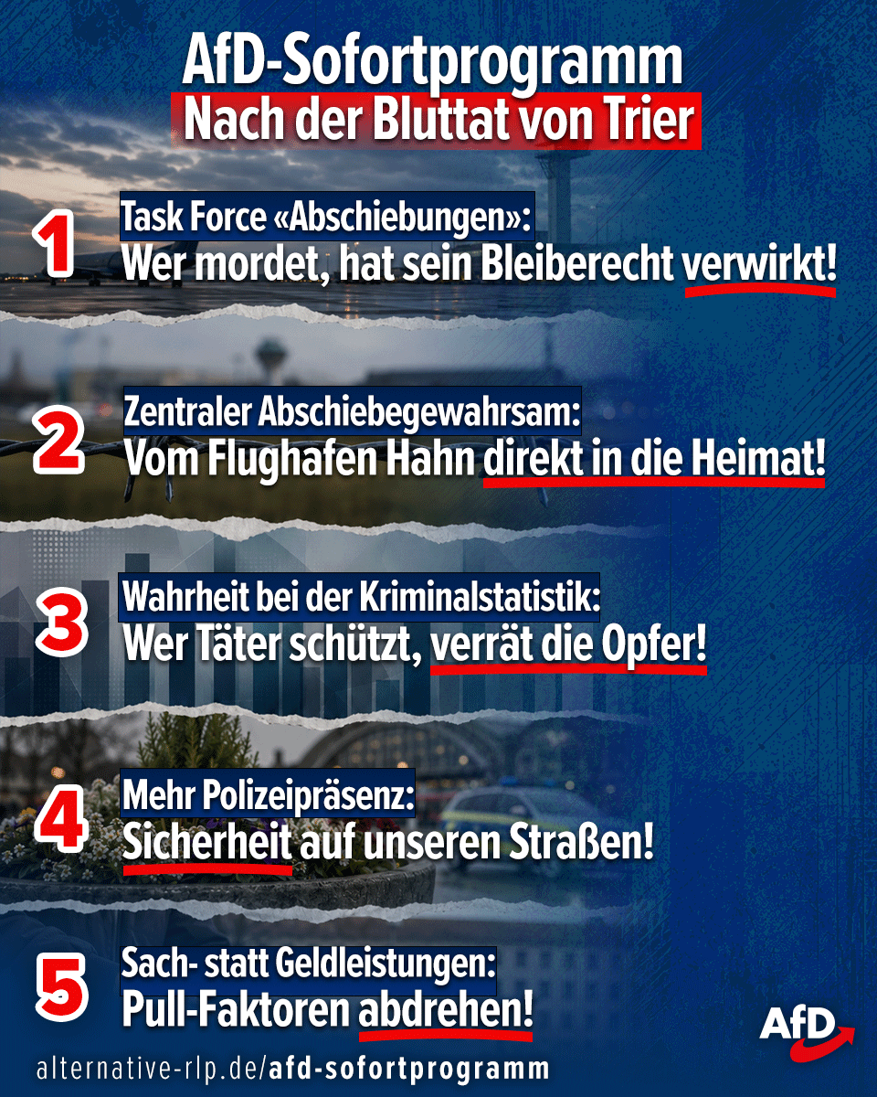 AfD tweet media