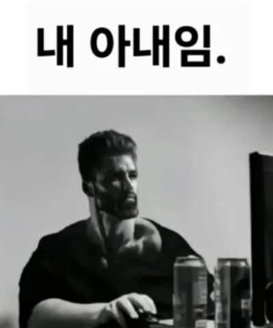 숏독 tweet media