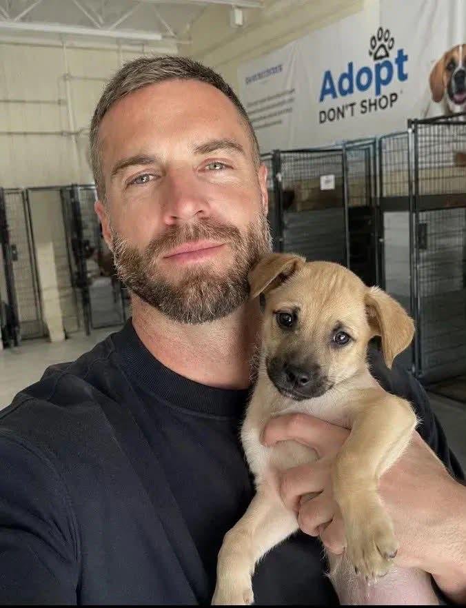 madisonclaccy9's tweet photo. My dog passed away eight months ago. Yesterday, I met this beautiful dog at the local animal shelter. Should I adopt it? I think I should adopt it. What do you think? https://t.co/G38i3wYDaw