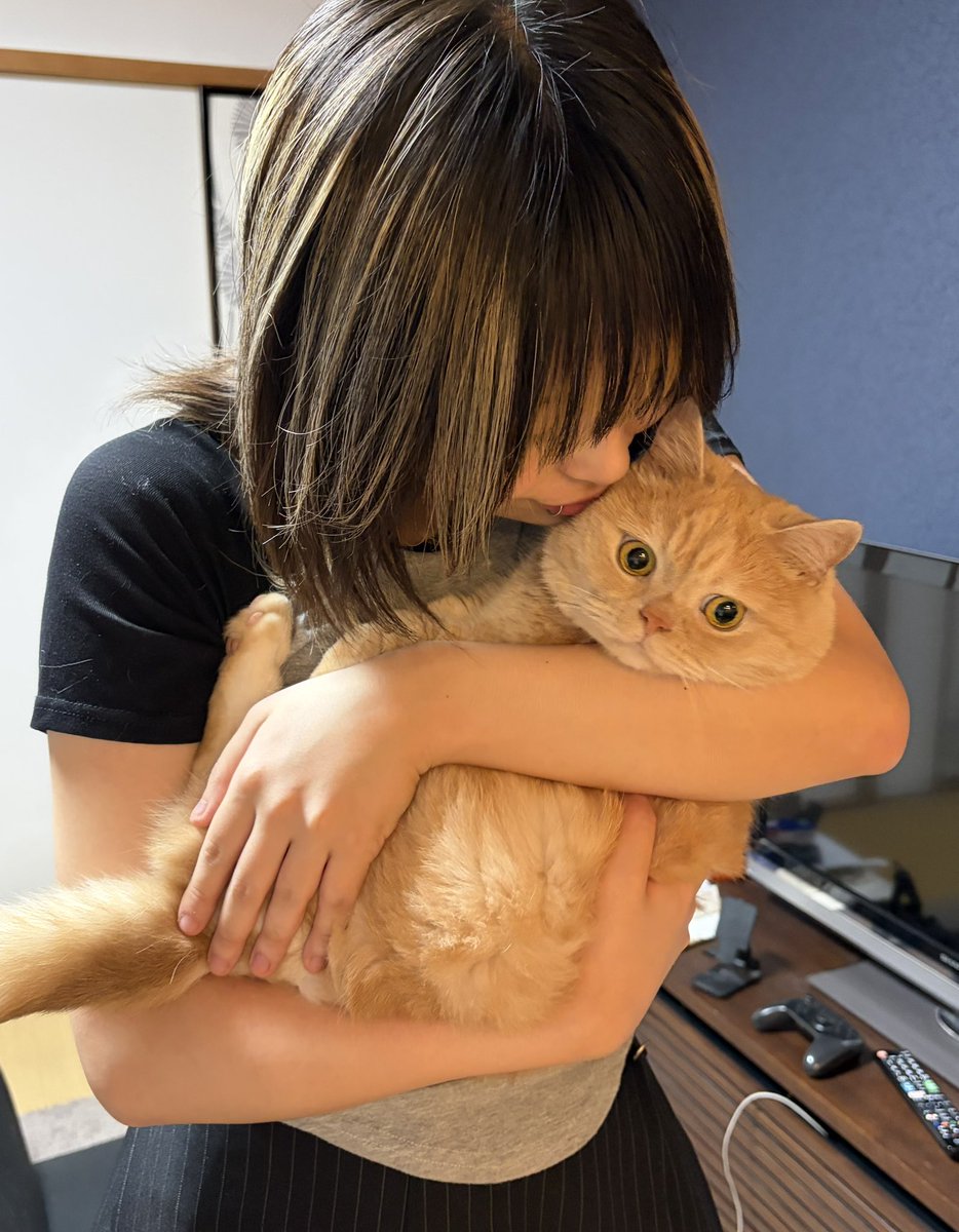 sakura_chakura_'s tweet photo. 戸惑いを隠せないもっちゃん(ねこ) https://t.co/EeD0d3xTA5