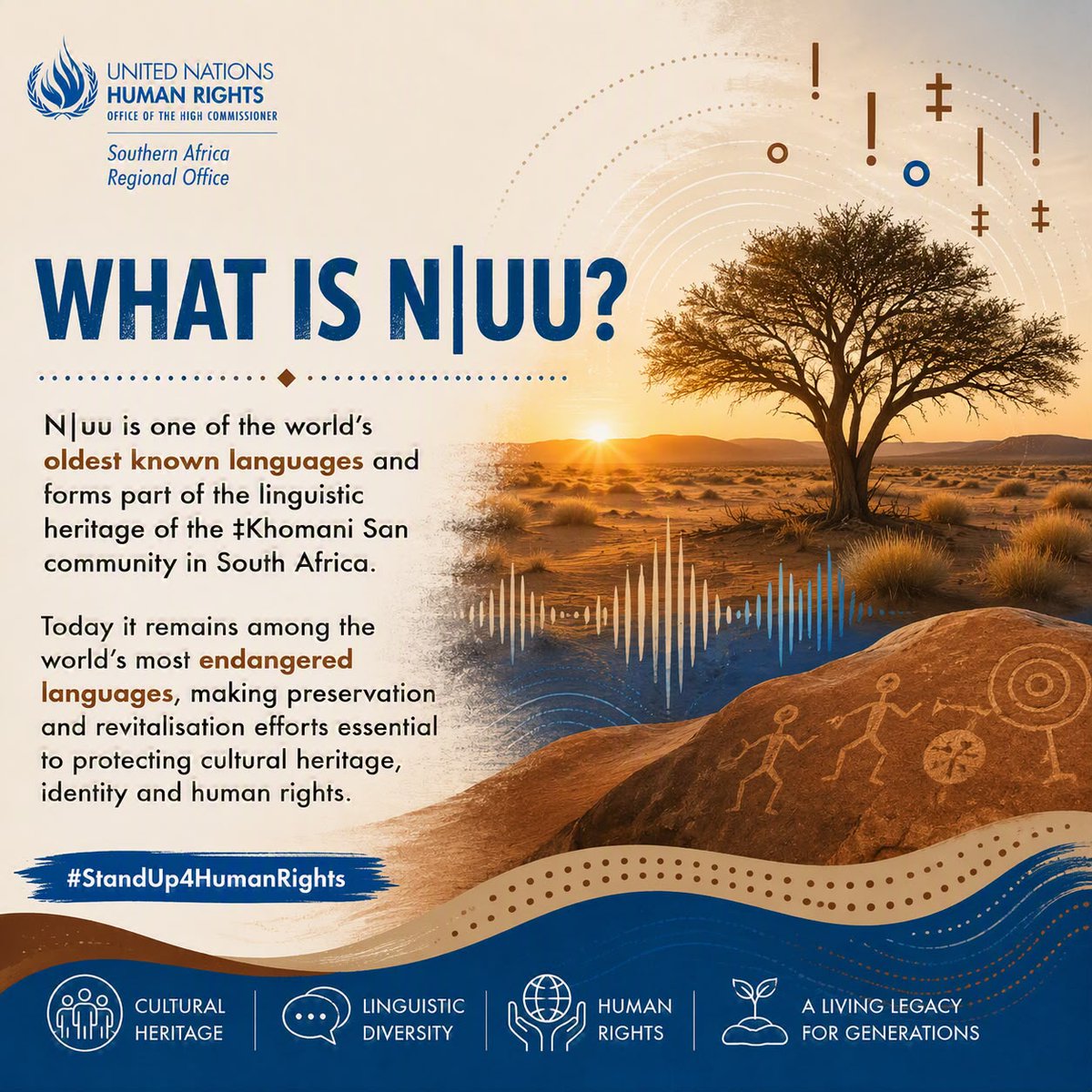 ohchr_sa tweet picture