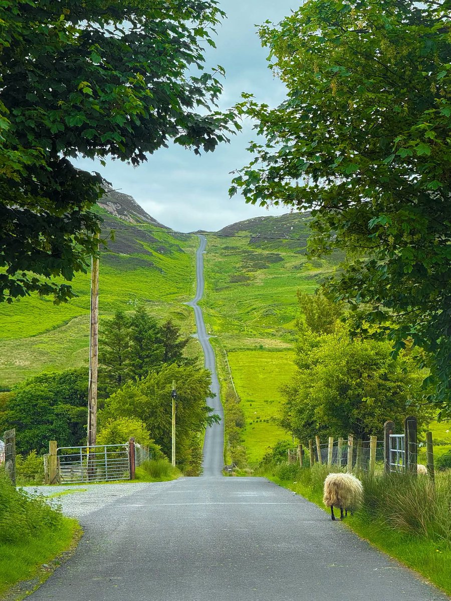 ThisIsIreland3 tweet picture