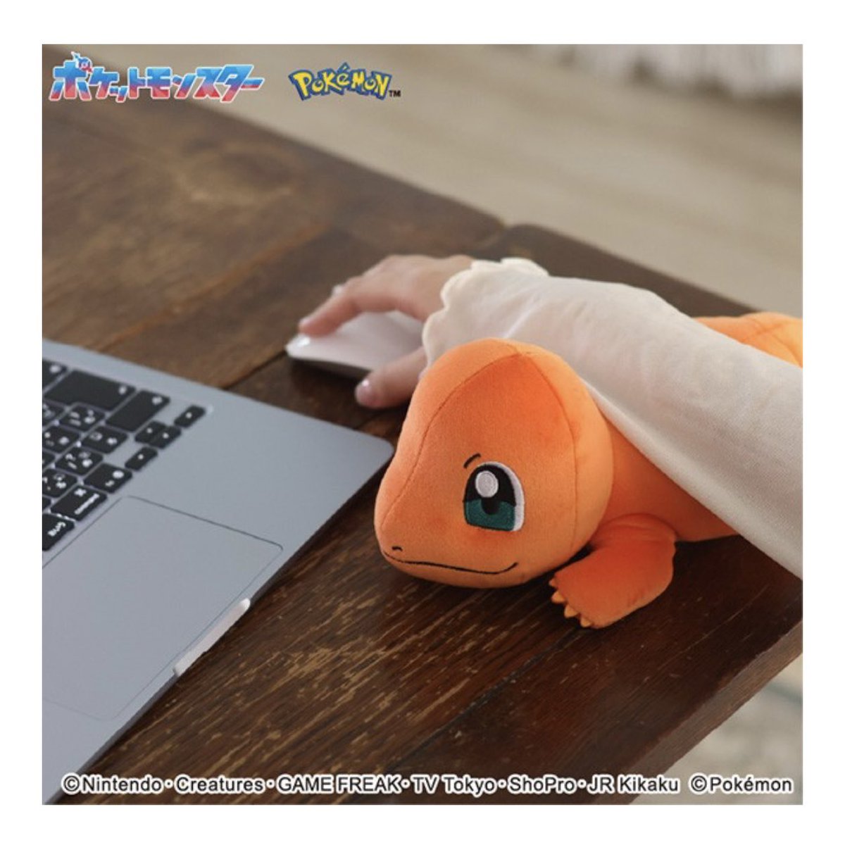 pikachu_pcn's tweet photo. 「もふもふ★うでまくら」に
新たにヒトカゲが登場

PC作業をポケモンのうでまくらがお手伝い

10月発売予定です

↓詳細はリプ欄で https://t.co/03g8TjUJWZ