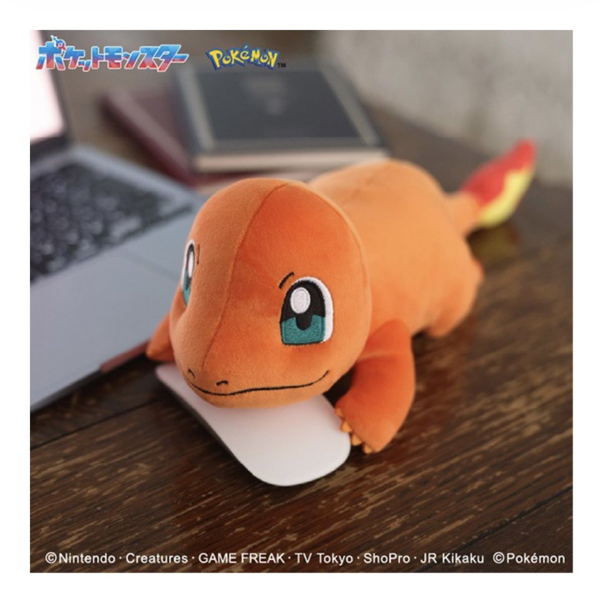 pikachu_pcn's tweet photo. 「もふもふ★うでまくら」に
新たにヒトカゲが登場

PC作業をポケモンのうでまくらがお手伝い

10月発売予定です

↓詳細はリプ欄で https://t.co/03g8TjUJWZ