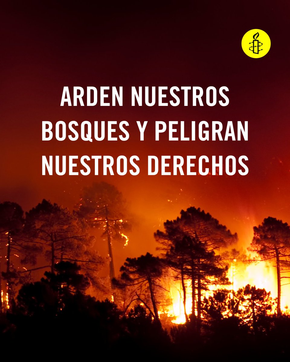 amnistiaespana tweet picture
