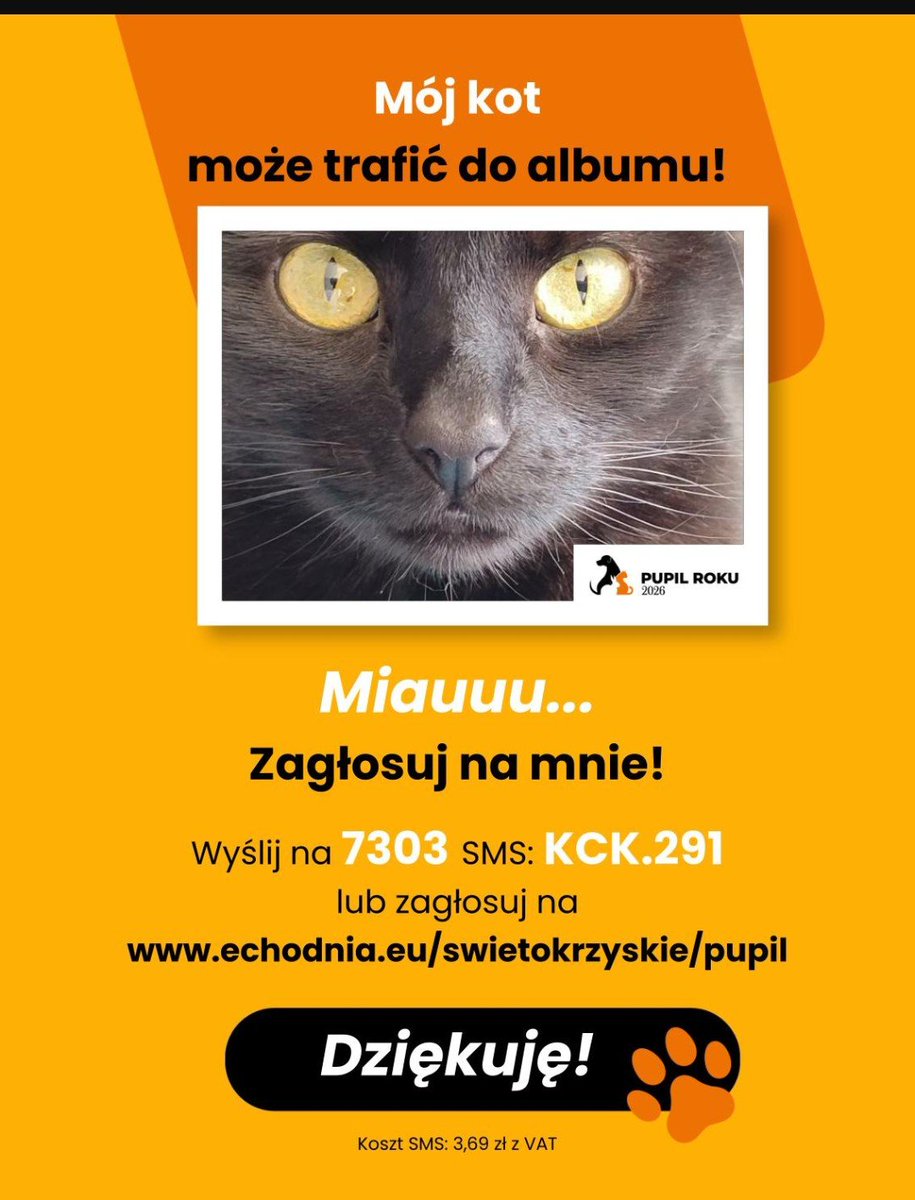AsfalothMonika's tweet photo. @LeszekBaszczys1 Jak masz wolne 3.69zł to jeszcze zagłosuj na mojego kota😎 https://t.co/1BJ0H01woK