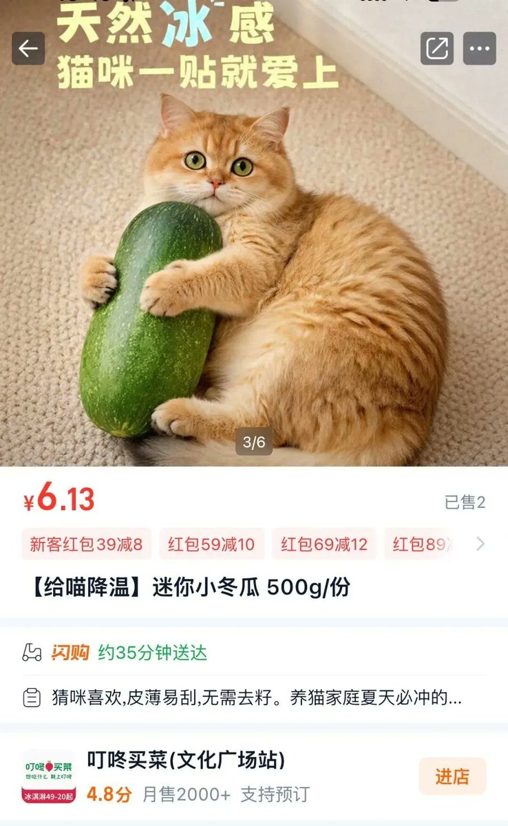 fsks55's tweet photo. 最近，“冬瓜降温法”风靡养宠圈，“小猫冬瓜降温”等多个话题登上热搜。

这股在宠物圈风靡的冬瓜降温风潮，很快就被生鲜平台捕捉。盒马、叮咚买菜等app纷纷把冬瓜商品页面换成宠物抱着冬瓜的图片，精准迎合养宠人群的消暑需求。 https://t.co/TMk4yzl2b3