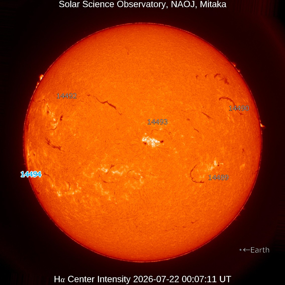 山頂に運ぶ太陽 本日の太陽】2026-7-22のHα線全面像 活発な状態です。 活動領域14494が