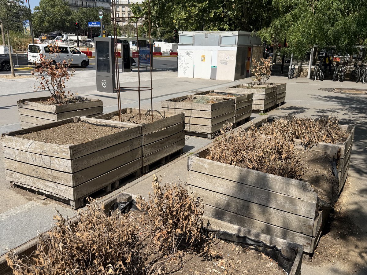 QsB75's tweet photo. En 2018, la @RATPgroup a décidé d’installer un « potager urbain » sur la place Denfert Rochereau. Après 8 ans de patience, ça y est, le résultat est là ! https://t.co/fnnScq7prq