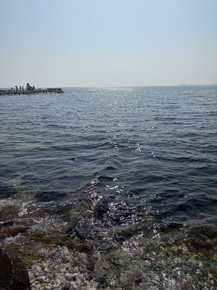 sak_copa's tweet photo. 海 https://t.co/csP2D7OjoU