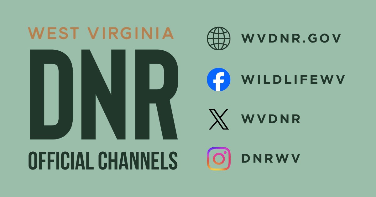 wvdnr's tweet photo. 🚨 Check the source before you share the post!

This is a reminder that we share information online ONLY through our official website and social media accounts.

So, if you see posts claiming to represent the WVDNR, please check our official channels for accurate information. https://t.co/JXaqPb5kL6