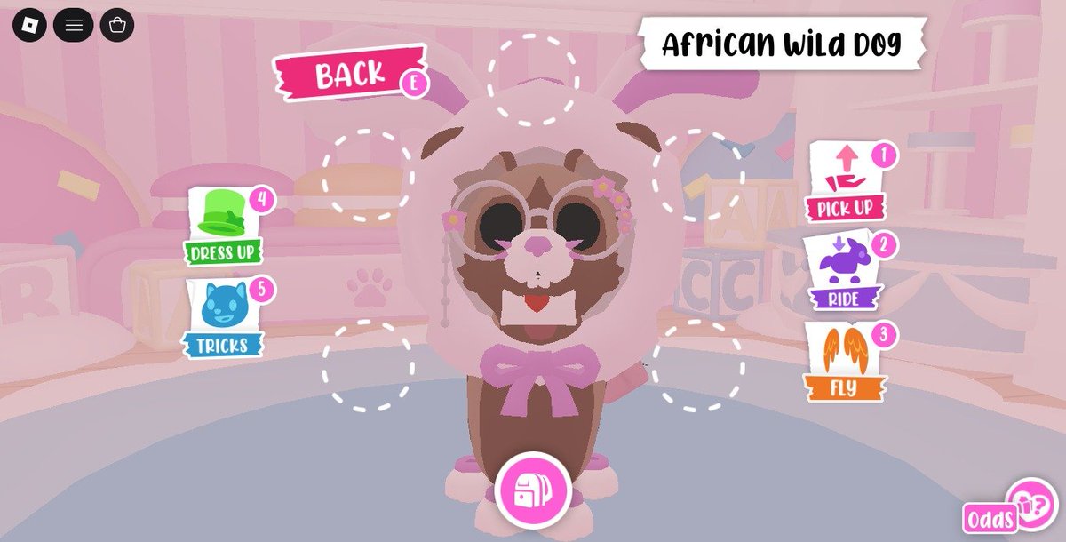nl_luvs's tweet photo. omgg so cutee my african wild dog. With the whole collection of the bunny pw https://t.co/vHOZPluvXS