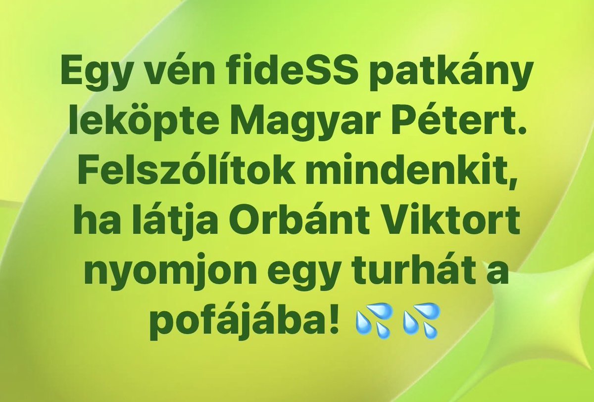 Seppy tweet media