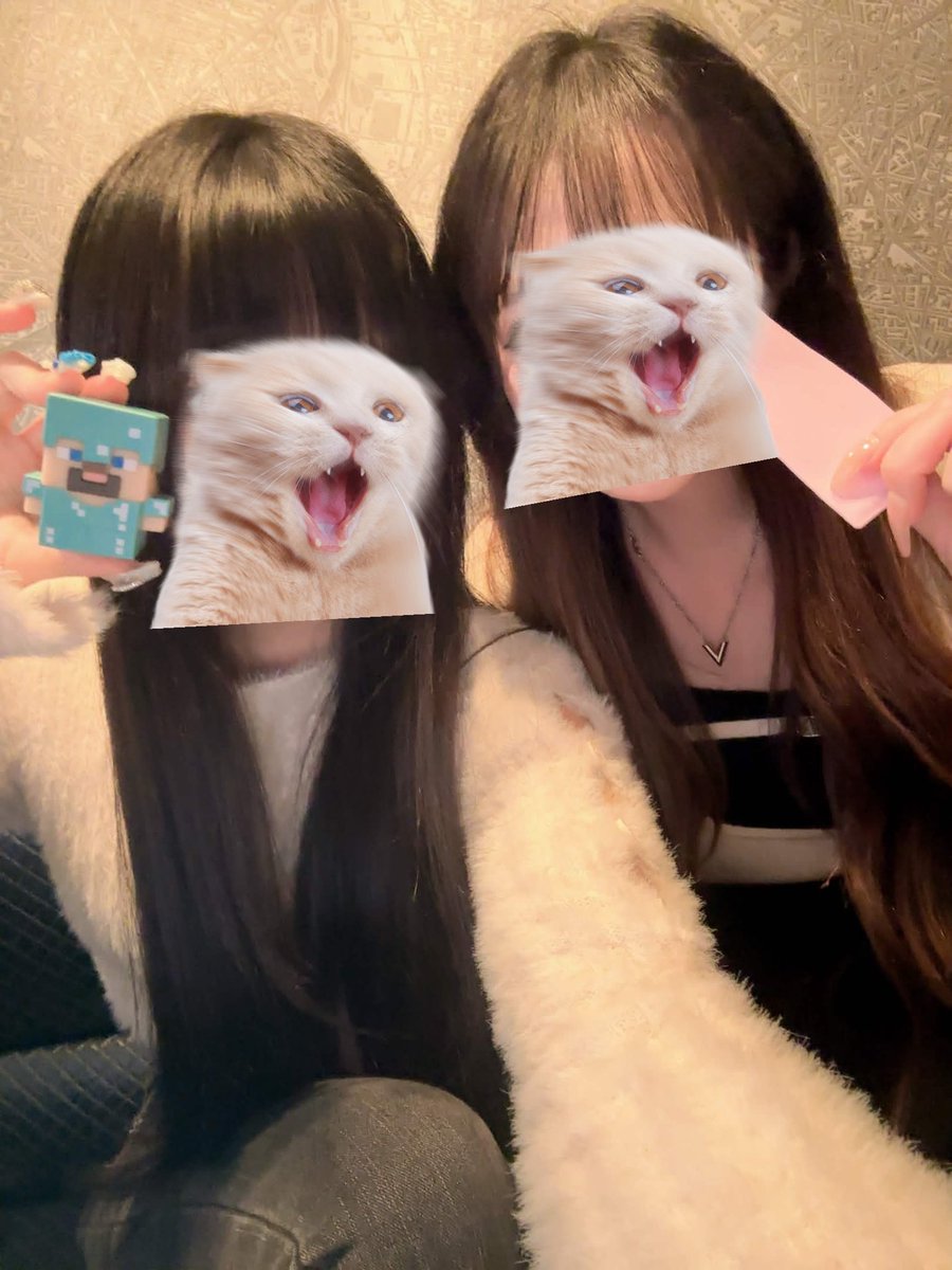 nqxc tweet media