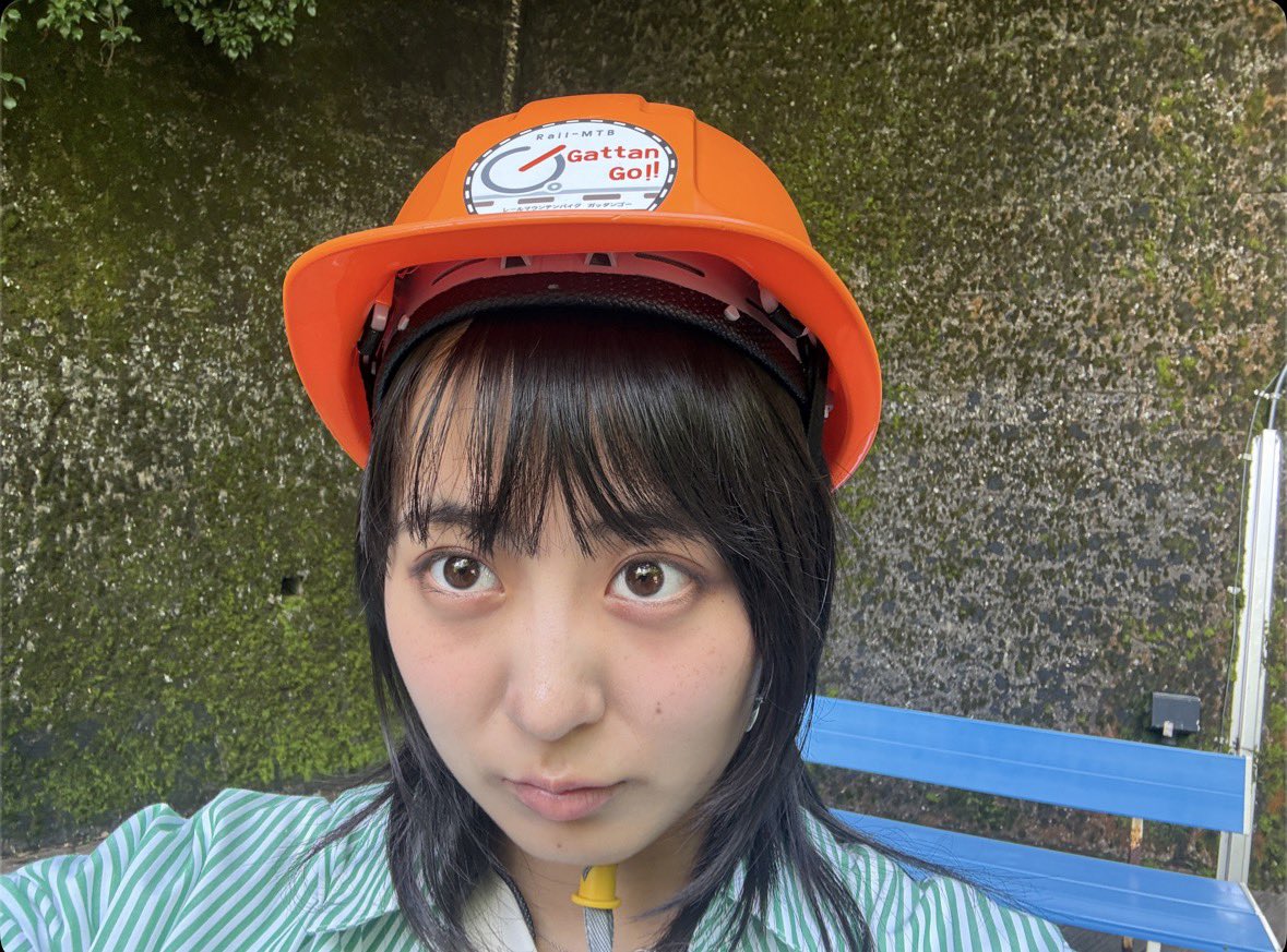 fukuiririka's tweet photo. 正解は、ガッタンゴー！🚲🌳☀️🪿 https://t.co/Mw7Fr2Mnhh