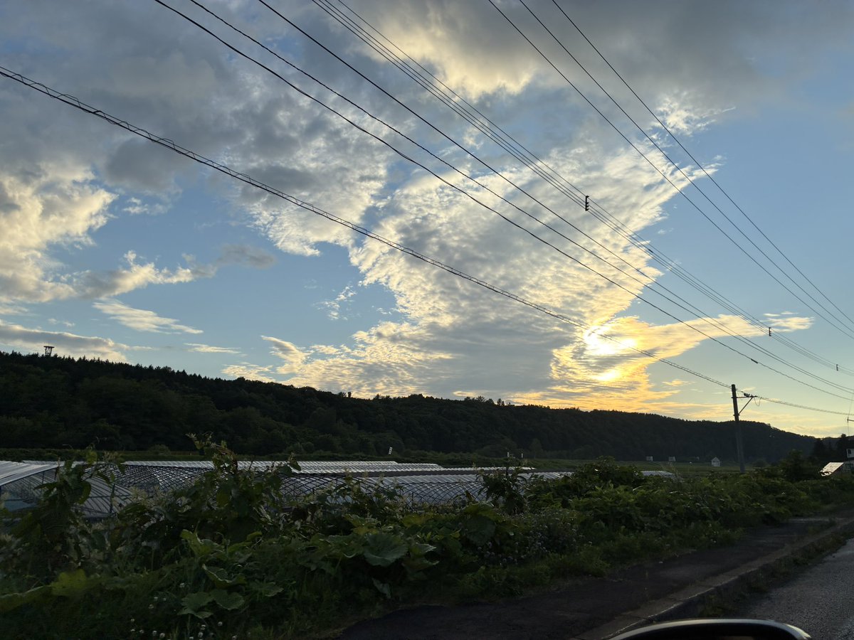 yuzuringogogo's tweet photo. こんばんは！
明日まで完全なるお休みをいただいています🙇🏻‍♀️
24日以降も未定です🥲

旭川より愛を込めて🫶
白鳥が飛び立ちそうな雲！！
伝われ〜✨️✨️✨️ https://t.co/pzXURXRoMd