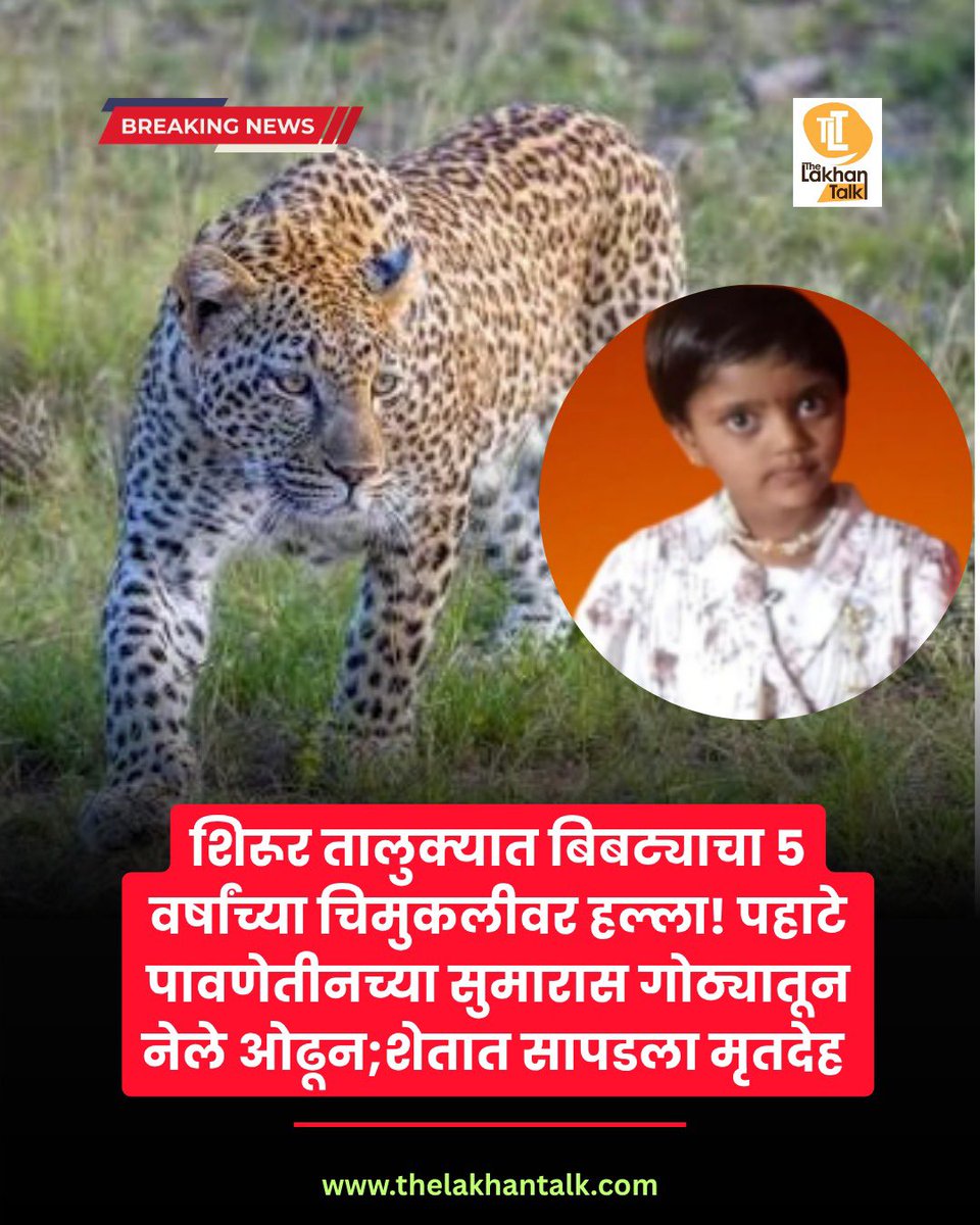 Laxman M More tweet media