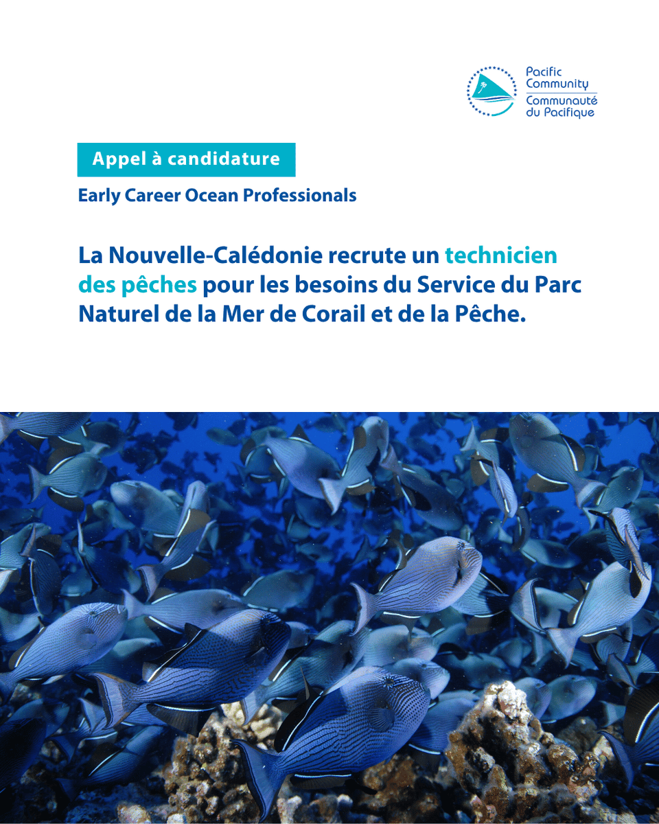 spc_cps's tweet photo. 📢 Appel à candidature-ECOP 📢

La Nouvelle-Calédonie recrute un technicien des pêches pour les besoins du Service du Parc Naturel de la Mer de Corail et de la Pêche. 

👉 Plus d'informations: https://t.co/hkMovWYTub
⏰Clôture des candidatures: Vendredi 07 Août 2026 https://t.co/6OaeR2Bb7F