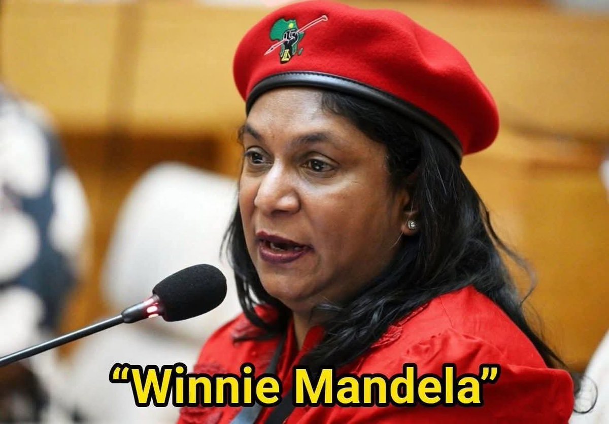 msholoziMk's tweet photo. @Julius_S_Malema  @MadlangaInquiry  @EFFSouthAfrica  hope you all watching  Madlanga commission is not 5hat circus that wr saw on Adhoc committee. https://t.co/yvO4ZMV7zV