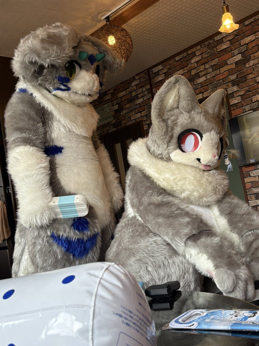 DORANEKOnext→PAWS(かるぴすちゅーる) (@DORANEKO0831) / Posts / X