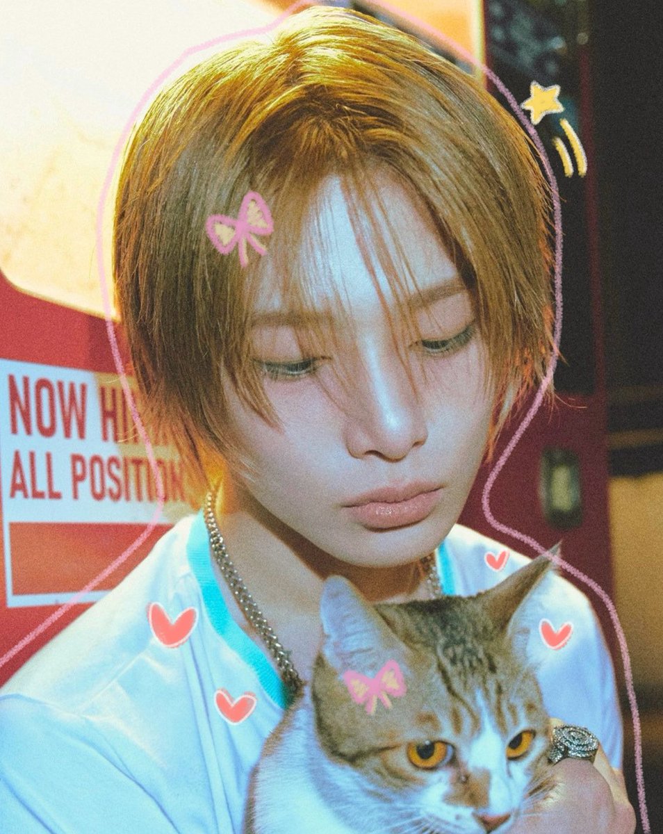 innieveneta's tweet photo. 🐈 https://t.co/UtnlxCISyR