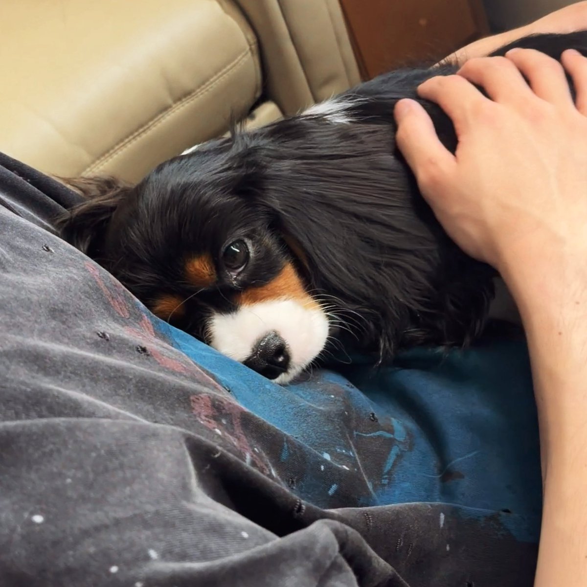 patrick_pppat's tweet photo. 🌙🐠💛🥳🦋🎊🙊🐶😜 https://t.co/4DgOJSSMGm