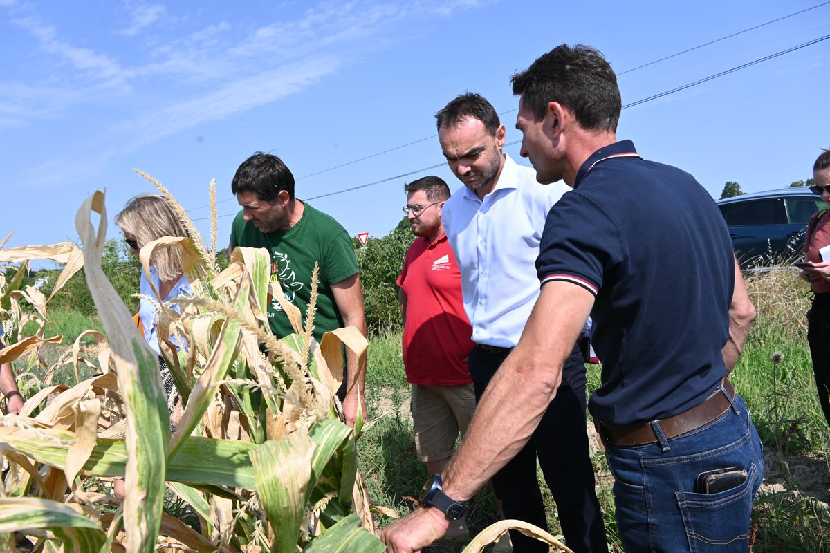 Prefet_82's tweet photo. 💧 Sur l'exploitation de M. Lamouroux, les échanges ont porté sur les récoltes, la gestion de la ressource en eau et les besoins d'irrigation. Le préfet a réaffirmé le soutien et l'accompagnement de l'État auprès des agriculteurs, essentiels pour notre souveraineté alimentaire. https://t.co/0PZ4YVmWmd