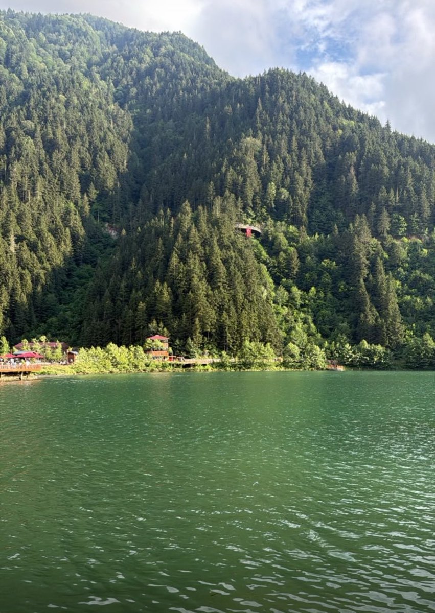 Aa____2022a's tweet photo. اللهم إني أعوذ بك من كسرةِ النفس ، ومن سوادِ القلب ، ومن يومٍ لاراحة فيه ، وابتسامةٍ لا روح فيها ، وأعوذ بك من روحٍ مجروحةٍ لا شفاء لها ، ومن أحلامٍ لاأمل فيها ، وأعوذ بك من نومٍ بلا راحة واستيقاظٍ بلا هدف ، وأعوذ بك مِن ذلّةِ ال��ؤال ، وتقلّبِ الأحوال ،  ومن وفاةِ الروح قبل الجسد https://t.co/0AxnmAavPs