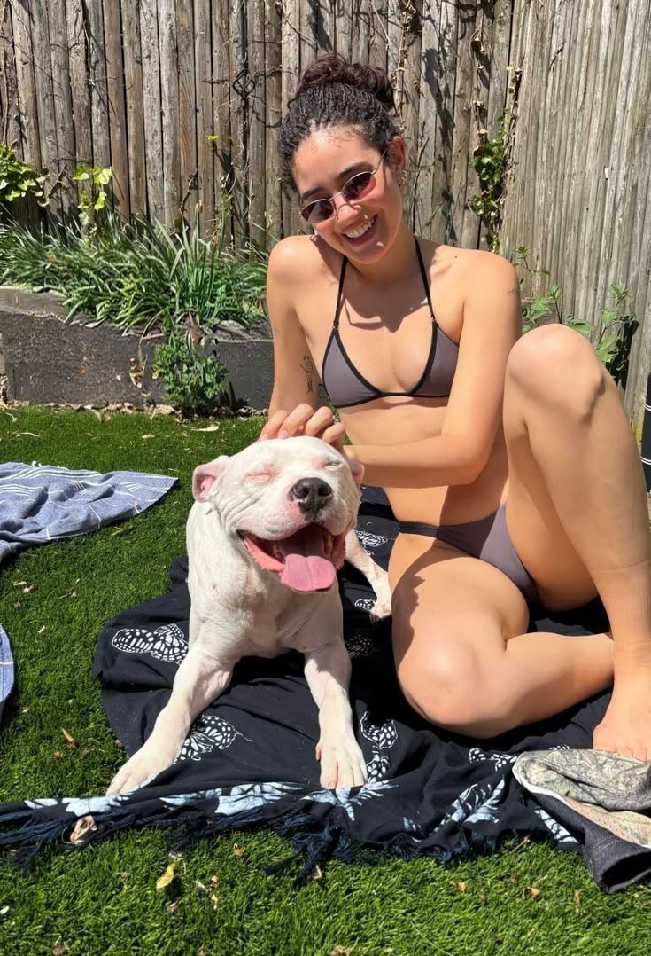 elanapaws5's tweet photo. Wana see my dog fuck me tonight on my private channel 👇:https://t.co/pxeOQcYJ6B

#zoopride #dogknot #dogknotting #zoophile #zoogirl #k9 #slut #knottyslut #zoophiletwt #fypシ゚viral #fypシ゚  #catgirl #europe #usa https://t.co/smMmUQWlzG